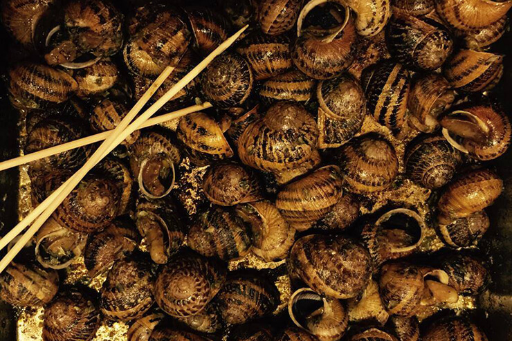 Snails on the tin